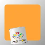 ЭМАЛЬ ВОДОРАЗБАВИМАЯ NCS 0570 Y30R