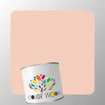 ЭМАЛЬ ВОДОРАЗБАВИМАЯ NCS 1015 Y70R