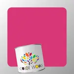 ЭМАЛЬ ВОДОРАЗБАВИМАЯ NCS 1070 R20B