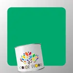 ЭМАЛЬ ВОДОРАЗБАВИМАЯ NCS 1565 G