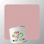 ЭМАЛЬ ВОДОРАЗБАВИМАЯ NCS 2020 R