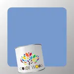 ЭМАЛЬ ВОДОРАЗБАВИМАЯ NCS 2040 R80B