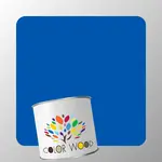 ЭМАЛЬ ВОДОРАЗБАВИМАЯ NCS 2565 R80B