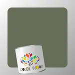 ЭМАЛЬ ВОДОРАЗБАВИМАЯ NCS 6010 G50Y