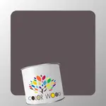 ЭМАЛЬ ВОДОРАЗБАВИМАЯ NCS 7005 R20B