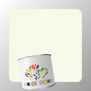 ЭМАЛЬ ПОЛИУРЕТАНОВАЯ NCS 0505 G60Y