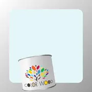 ЭМАЛЬ ПОЛИУРЕТАНОВАЯ NCS 0507 B20G