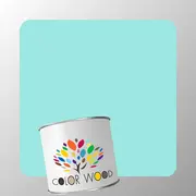 ЭМАЛЬ ПОЛИУРЕТАНОВАЯ NCS 0530 B60G