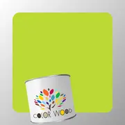 ЭМАЛЬ ПОЛИУРЕТАНОВАЯ NCS 0565 G50Y