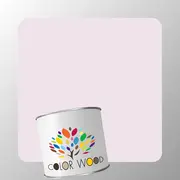 ЭМАЛЬ ПОЛИУРЕТАНОВАЯ NCS 0907 R30B