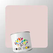 ЭМАЛЬ ПОЛИУРЕТАНОВАЯ NCS 1010 R