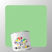 ЭМАЛЬ ПОЛИУРЕТАНОВАЯ NCS 1040 G20Y