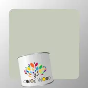 ЭМАЛЬ ПОЛИУРЕТАНОВАЯ NCS 2005 G50Y