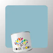 ЭМАЛЬ ПОЛИУРЕТАНОВАЯ NCS 2020 B10G