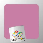 ЭМАЛЬ ПОЛИУРЕТАНОВАЯ NCS 2040 R30B