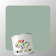 ЭМАЛЬ ПОЛИУРЕТАНОВАЯ NCS 3010 G10Y