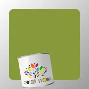 ЭМАЛЬ ПОЛИУРЕТАНОВАЯ NCS 3050 G50Y