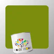 ЭМАЛЬ ПОЛИУРЕТАНОВАЯ NCS 3060 G50Y