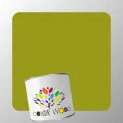 ЭМАЛЬ ПОЛИУРЕТАНОВАЯ NCS 3060 G70Y