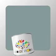 ЭМАЛЬ ПОЛИУРЕТАНОВАЯ NCS 4010 B50G