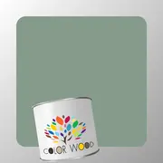 ЭМАЛЬ ПОЛИУРЕТАНОВАЯ NCS 4010 G10Y