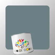 ЭМАЛЬ ПОЛИУРЕТАНОВАЯ NCS 5010 B10G