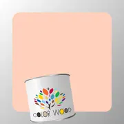 ЭМАЛЬ ПОЛИАКРИЛОВАЯ NCS 0520 Y70R