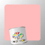 ЭМАЛЬ ПОЛИАКРИЛОВАЯ NCS 0530 R