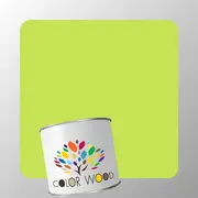 ЭМАЛЬ ПОЛИАКРИЛОВАЯ NCS 0560 G50Y