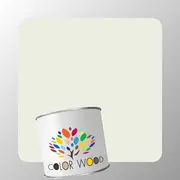 ЭМАЛЬ ПОЛИАКРИЛОВАЯ NCS 0804 G60Y