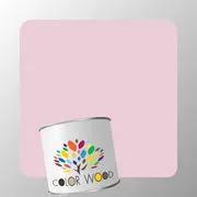 ЭМАЛЬ ПОЛИАКРИЛОВАЯ NCS 1015 R20B