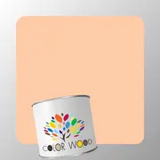 ЭМАЛЬ ПОЛИАКРИЛОВАЯ NCS 1020 Y50R