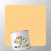 ЭМАЛЬ ПОЛИАКРИЛОВАЯ NCS 1030 Y20R