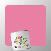 ЭМАЛЬ ПОЛИАКРИЛОВАЯ NCS 1050 R20B