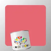 ЭМАЛЬ ПОЛИАКРИЛОВАЯ NCS 1060 R