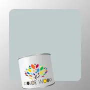 ЭМАЛЬ ПОЛИАКРИЛОВАЯ NCS 2005 B50G