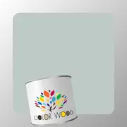 ЭМАЛЬ ПОЛИАКРИЛОВАЯ NCS 2005 B80G