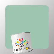 ЭМАЛЬ ПОЛИАКРИЛОВАЯ NCS 2020 G