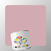 ЭМАЛЬ ПОЛИАКРИЛОВАЯ NCS 2020 R10B