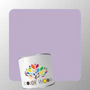 ЭМАЛЬ ПОЛИАКРИЛОВАЯ NCS 2020 R50B