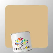 ЭМАЛЬ ПОЛИАКРИЛОВАЯ NCS 2020 Y20R