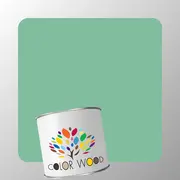 ЭМАЛЬ ПОЛИАКРИЛОВАЯ NCS 2030 G