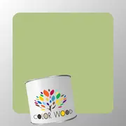 ЭМАЛЬ ПОЛИАКРИЛОВАЯ NCS 2030 G50Y