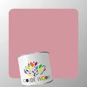 ЭМАЛЬ ПОЛИАКРИЛОВАЯ NCS 2030 R10B