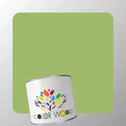 ЭМАЛЬ ПОЛИАКРИЛОВАЯ NCS 2040 G40Y