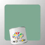 ЭМАЛЬ ПОЛИАКРИЛОВАЯ NCS 3020 G