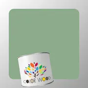 ЭМАЛЬ ПОЛИАКРИЛОВАЯ NCS 3020 G20Y