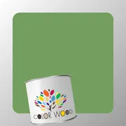 ЭМАЛЬ ПОЛИАКРИЛОВАЯ NCS 3040 G30Y