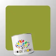 ЭМАЛЬ ПОЛИАКРИЛОВАЯ NCS 3050 G60Y