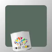 ЭМАЛЬ ПОЛИАКРИЛОВАЯ NCS 6010 G10Y